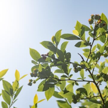 【全店舗】GW期間の営業について