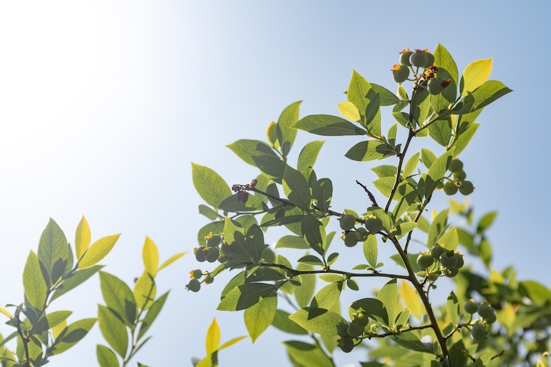 【全店舗】GW期間の営業について